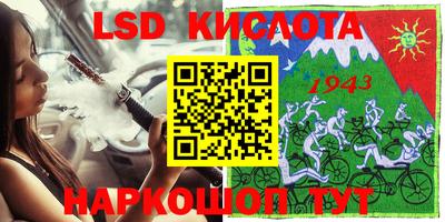 крисы Новокубанск
