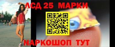 крисы Новокубанск