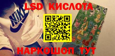 крисы Новокубанск