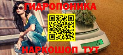 крисы Новокубанск