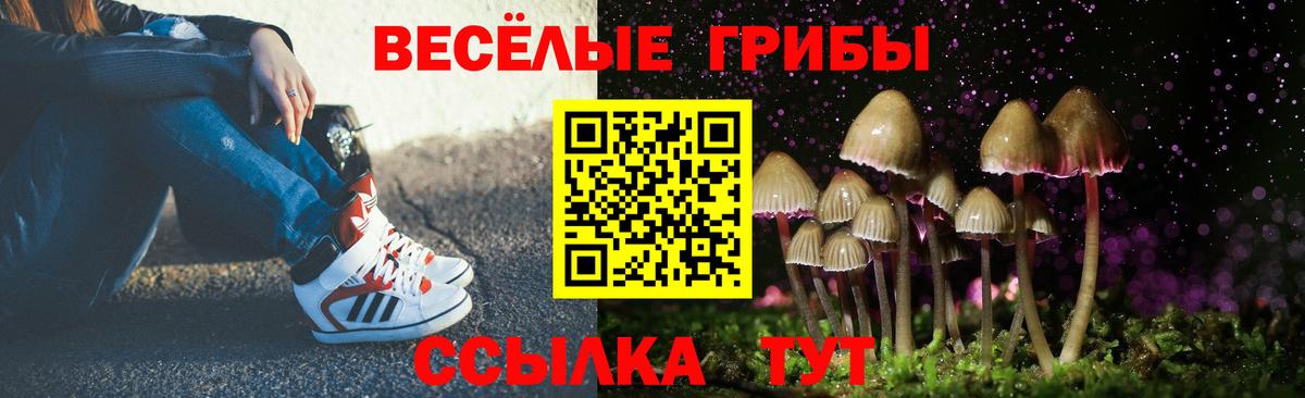 Псилоцибиновые грибы Psilocybe Похвистнево
